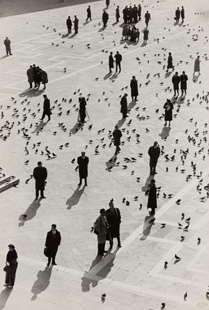 Roiter Fulvio - Venice