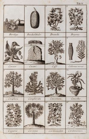 Universal treatise dictionary of simple drugs