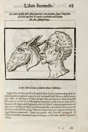 Of the physiognomy of man [...] six books. Translated from Latin into the vernacular, and increased by the same author with figures
