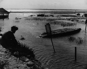 Valle di Porto Caleri, Rovigo