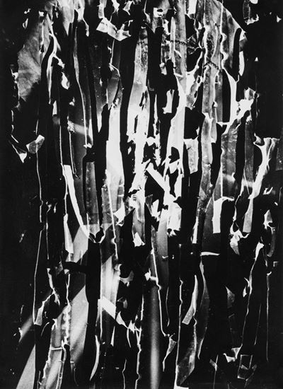 Senza titolo (Fotogramma), stampa vintage alla gelatina ai sali d'argento