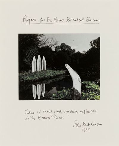Project For The Bronx Botanical Gardens