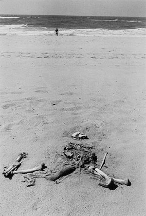 Gaza Strip. A dead Egyptian soldier lays on a beach during the Six Day War.