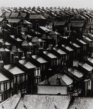Brandt Bill - Rainswept roofs