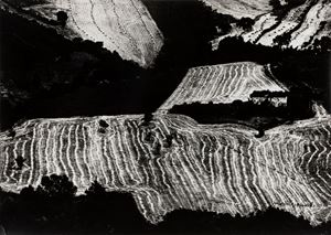 Giacomelli Mario - Presa di coscienza sulla natura
