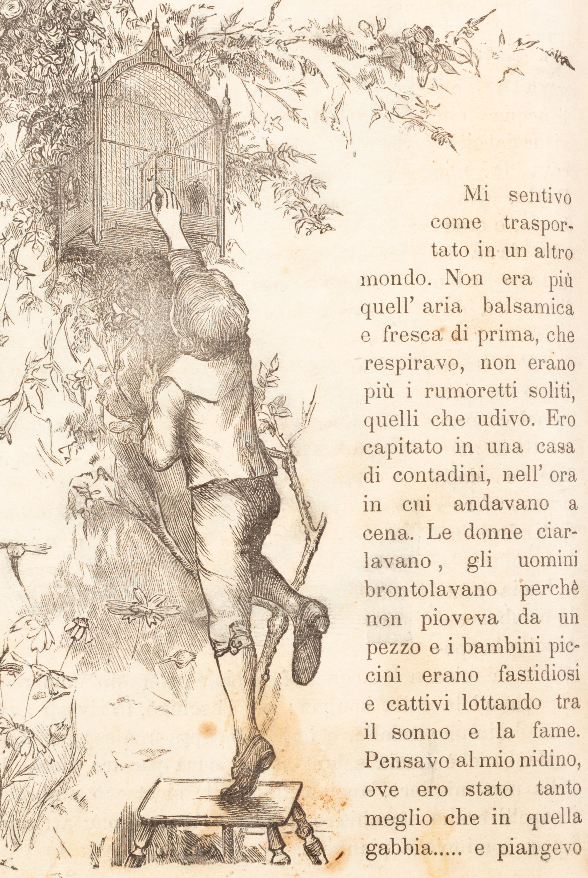 Collodi, Carlo - Collodi, Il giornale per i bambini - Rarissima edizione originale di Pinocchio (...