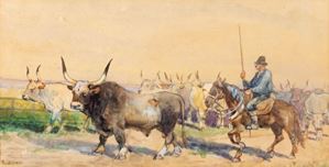 Horseback riding and buffalo in the Roman Campagna