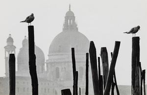 Roiter Fulvio - Venice