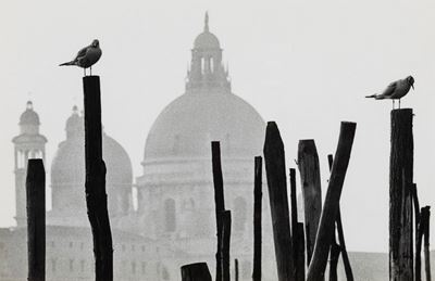 Venezia