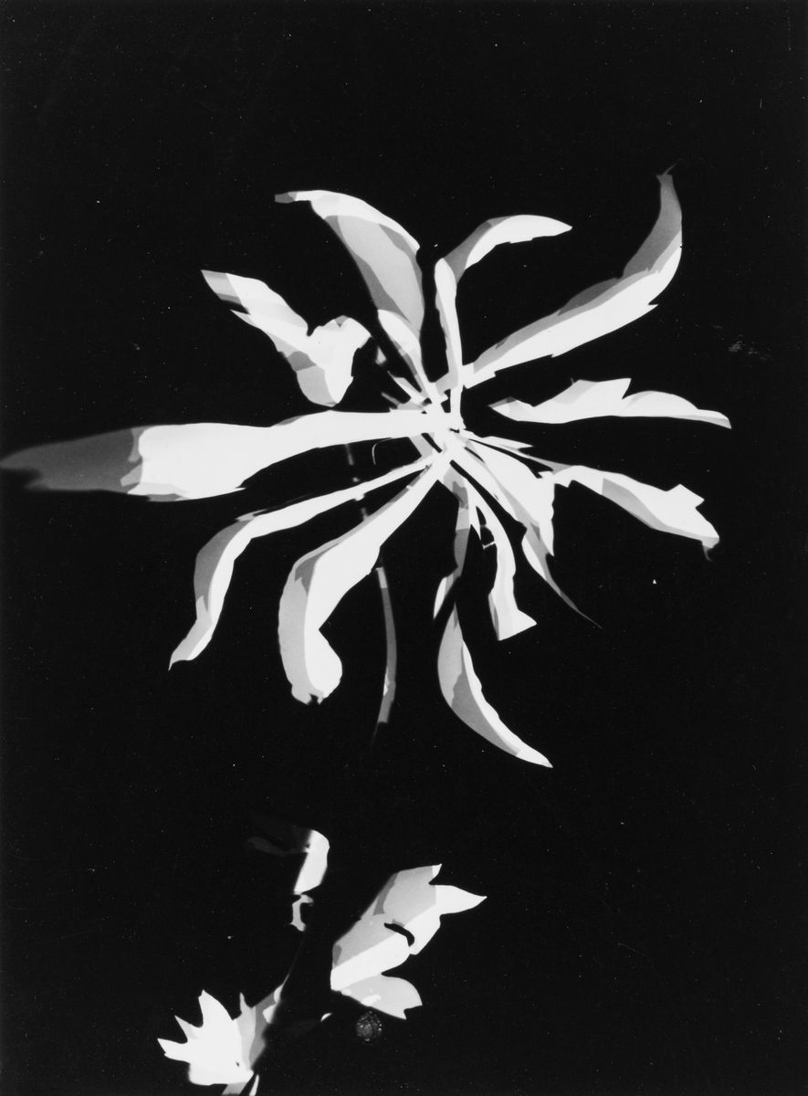 Lazlo Moholy-nagy - Fotogramm, stampe moderne alla gelatina ai sali d'argento