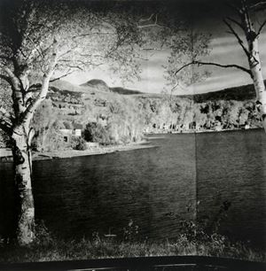Arbus Diane - Lobby of a Building, N.Y.C.