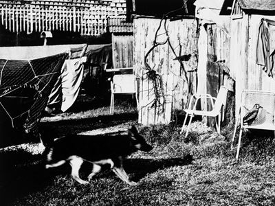 Senza titolo, stampa vintage alla gelatina ai sali d'argento