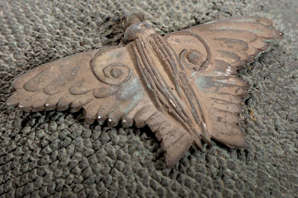 Gaetano Pompa - Farfalla - Bronzo patina bruna, esemplare unico