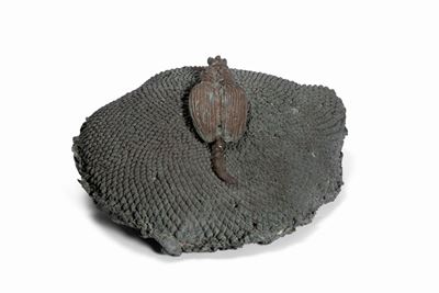 Coleottero - bronzo patina bruna, esemplare unico