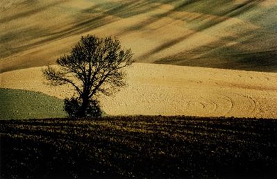 Paesaggio, Basilicata