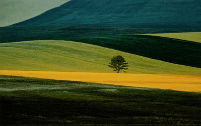 Paesaggio, Basilicata