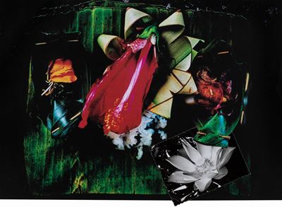 Dedica (Bali), collage di stampe digitali