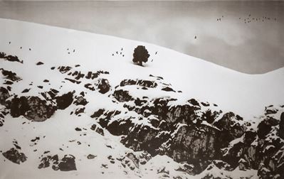 Snow Withe