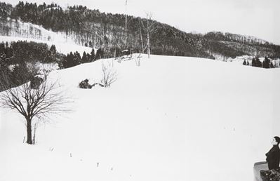 Snow And Nature Composition