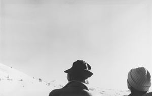 Snow and Nature Composition