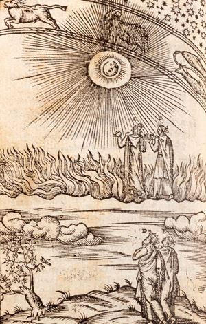 Dante with new and useful compositions