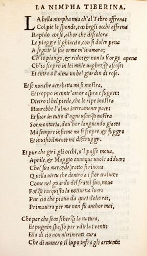Rhymes by Brocardo and other authors