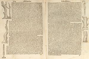 L&#39;economia del cittadino in villa