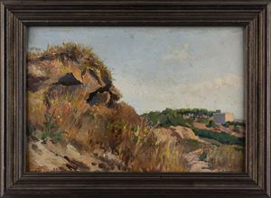 Summer near the coast