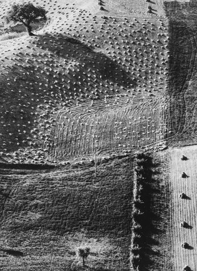 Paesaggio, stampa vintage alla gelatina ai sali d'argento