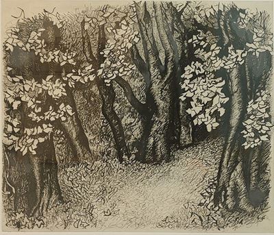 Nel Bosco