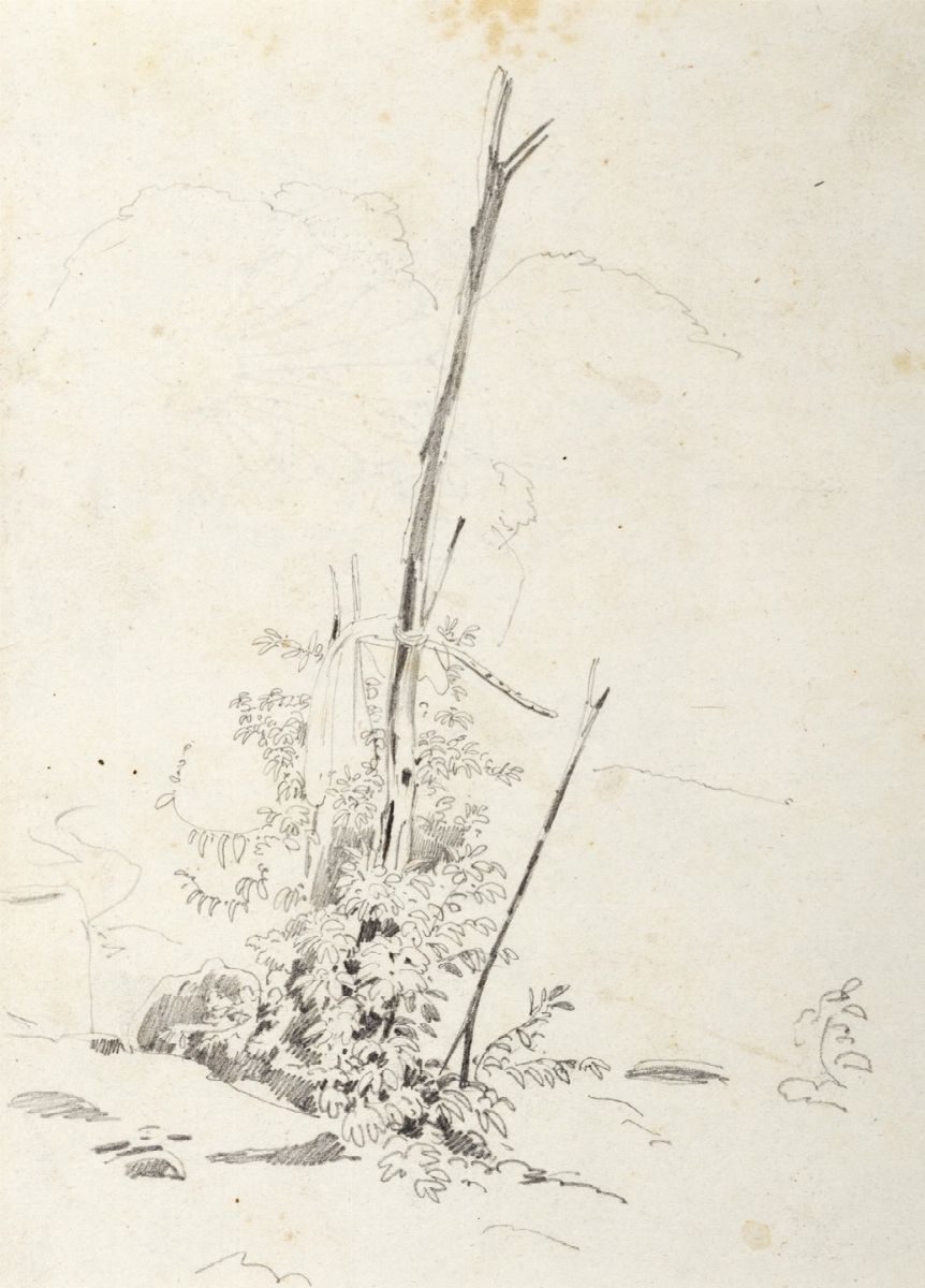 Johann Jakob Frey - Coppia di disegni: Porto d'Anzio e studio d'albero (1847)