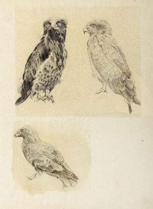 Pair of drawings with falcons and Madonna and Child