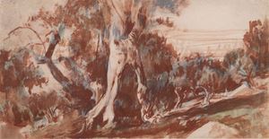 Alberi