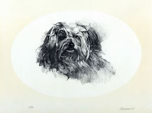 Vespignani Renzo - Doggie
