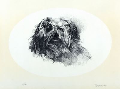 Cagnolino