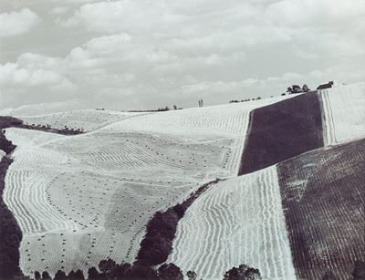 Luglio nelle Marche, Anni 1980