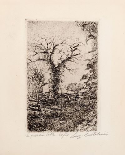 La Quercia Bella