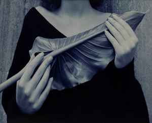 La grande foglia blu