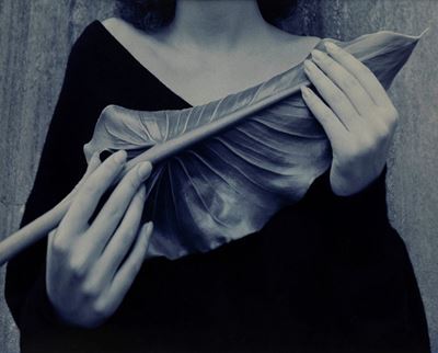 La grande foglia blu - C-print vintage