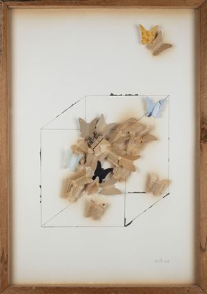 Ceroli Mario - Le farfalle nella scatola