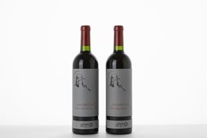 Zymè Amarone della Valpolicella