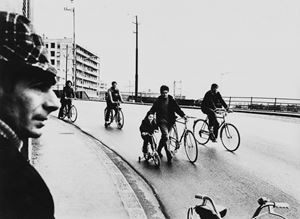 Senza titolo (Domeniche ecologiche)