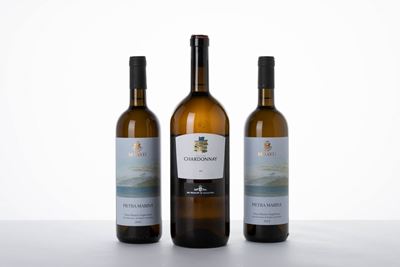 Selezione Bianchi Siciliani - Benanti Pietra Marina Etna Bianco 2014 e Dei Principi di Spadafora ...