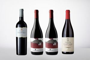 Selection of Important Red Sicilian Wines