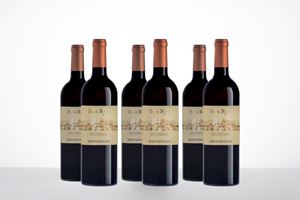 Donnafugata Ben Ryè