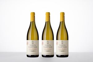 Tenuta delle Terre Nere Calderara Sottana Etna Bianco