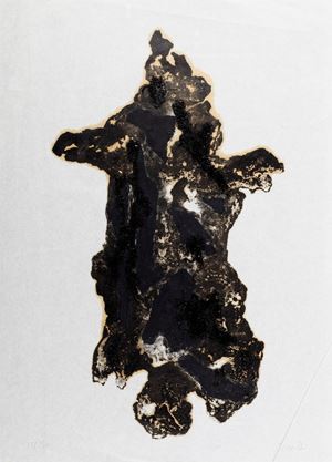 Leonardi Leoncillo - Form
