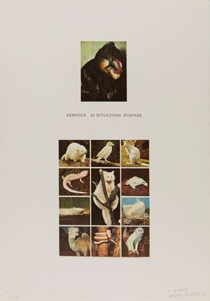 Verifica di situazioni diverse