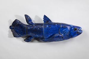Blue Fish
