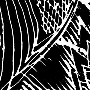 Doodles in mutation, DIM_2839_On My Desk_B